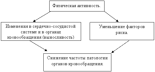 Реферат: Влияние физических упражнений на кровь и органы кровообращения