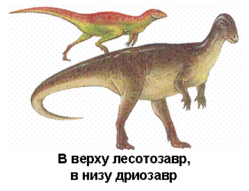 Text Box: В верху лесотозавр, в низу дриозавр 
