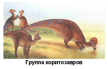 Text Box: Группа коритозавров 