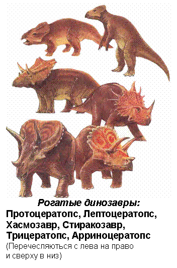 Text Box: Рогатые динозавры: Протоцератопс, Лептоцератопс, Хасмозавр, Стиракозавр, Трицератопс, Арриноцератопс (Перечесляються с лева на право и сверху в низ) 