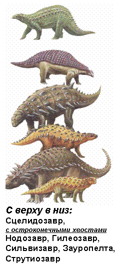 Text Box: С верху в низ: Сцелидозавр, с остроконечными хвостами Нодозавр, Гилеозавр, Сильвизавр, Зауропелта, Струтиозавр 