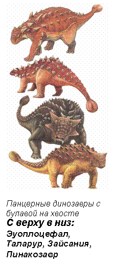 Text Box: Панцерные динозавры с булавой на хвосте С верху в низ: Эуоплоцефал, Таларур, Зайсания, Пинакозавр 