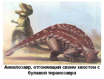 Text Box: Анкилозавр, отгоняющий своим хвостом с булавой тиранозавра 