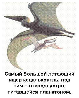 Text Box: Самый большой летающий ящер кецалькоатль, под ним – птеродаустро, питавшейся планктоном. 