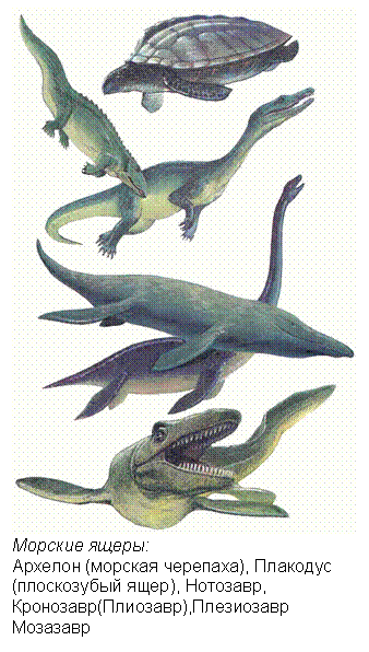 Text Box: Морские ящеры: Архелон (морская черепаха), Плакодус (плоскозубый ящер), Нотозавр, Кронозавр(Плиозавр),Плезиозавр Мозазавр 
